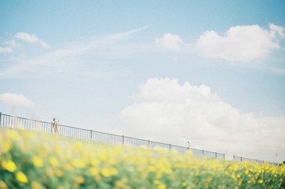 ​重阳节经典走心文案话(精选82句)