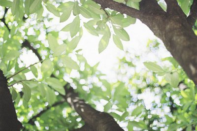 ​歌曲里面那些经典的句子赞美歌曲好听的句子(精选77句)