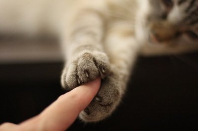 ​与责任与担当经典语录82句