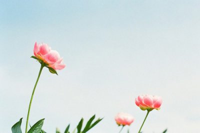 ​女人对生活的经典语录58句