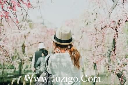 介绍古风歌单的句子古风歌词中的经典句子(精选20句)