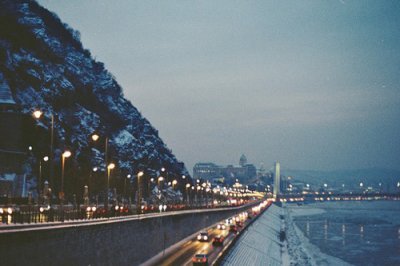 ​拟人句写垂柳11句