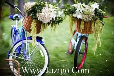 ​秋天的诗20首秋天的诗词20首(精选25句)