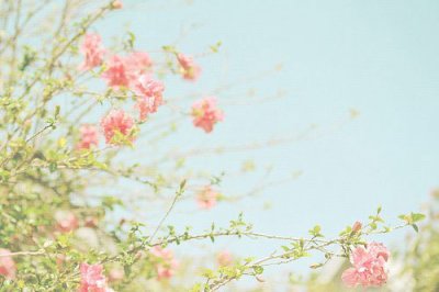 ​鸟入笼中歇后语23句