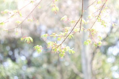 ​分别勉励的话83句