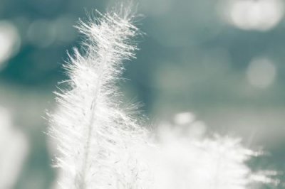 ​大暑朋友圈经典文案句子(精选84句)