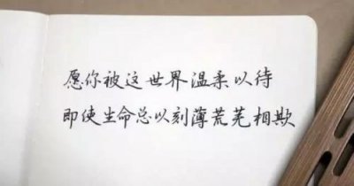 ​经典的感恩老师句子