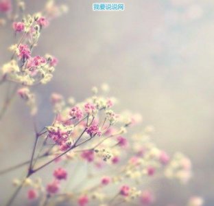 ​2025关于“520”的经典句子】(精选93句)