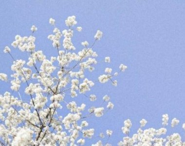 ​适合发朋友圈做梦累醒过来句子(55句)