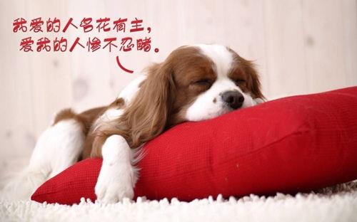 励志优美句子大全