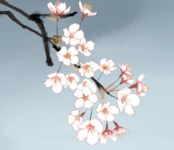 ​关于爱情幸福唯美的句子合集45句