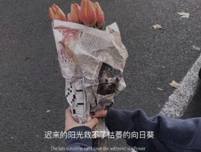 ​简单的生活哲理句子摘录