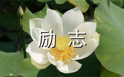 ​超甜句子撩人套路一问一答(80句)