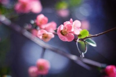 ​青春文艺句子励志简短正能量(精选42句)
