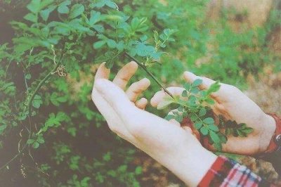 ​兄弟情深的经典句子 兄弟情深的句子(41句)