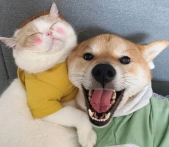 ​做人要大气的经典语句