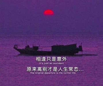 ​2025年张小娴经典语录