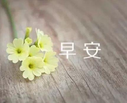 简单的qq空间正能量的句子70条