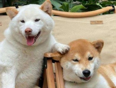 ​哲理唯美语句65条