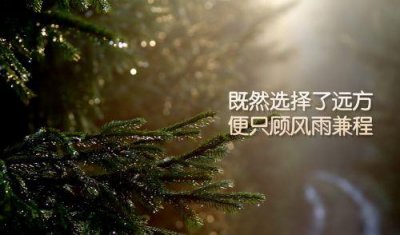 ​不可不看的人生感悟句子