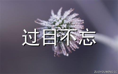 每日晨语 早安唯美阳光的句子