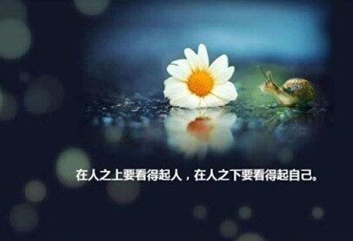 适合做个性签名的句子简短