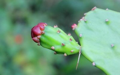 ​高考句子励志短句子 高考加油励志的话