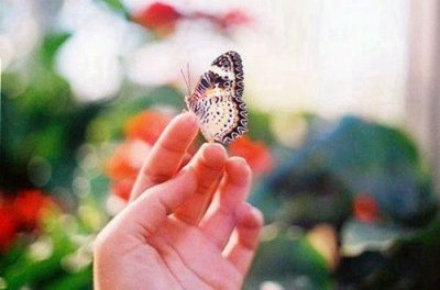 ​不惧未来励志的名言(32句)