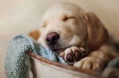 ​笑着坚持正能量句子