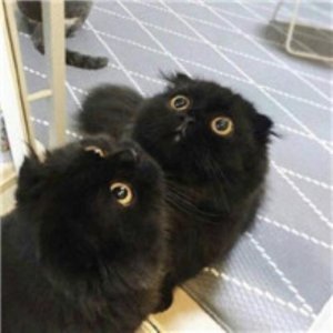 ​早晨励志语录正能量[24句] (早安心语图片)