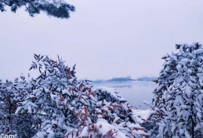 ​电影何以笙箫默经典台词