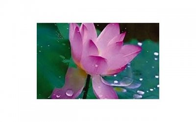 ​说说-一句正能量心情说说写给自己