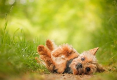 ​林肯经典语录