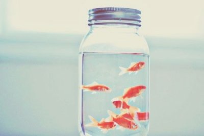 ​最新伤感催泪伤感语录87句