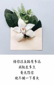 ​千古绝句最美句子,千古名句古诗霸气
