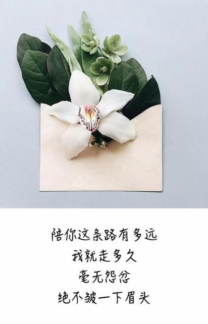 千古绝句最美句子