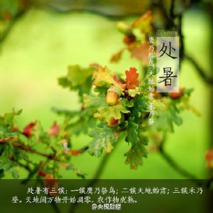 社会语录短句押韵