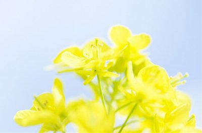 简短的微信朋友圈早安心语(精选72句)