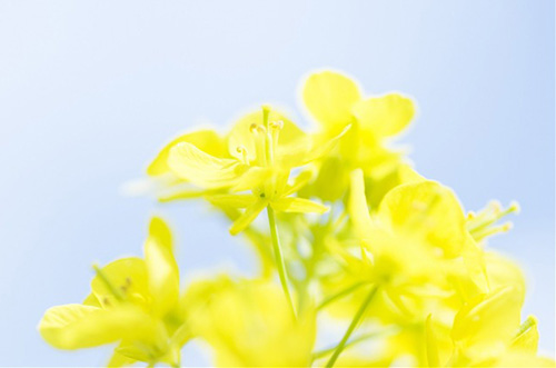 简短的微信朋友圈早安心语2023(精选72句)