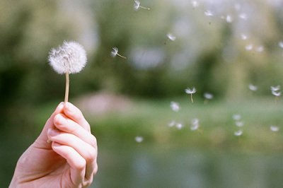 七夕情人节单身狗的朋友圈搞笑文案(精选80句)