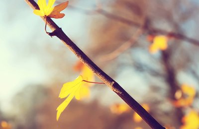 ​没有人依靠的心酸说说