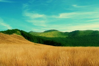 描述春天的优美语句90句