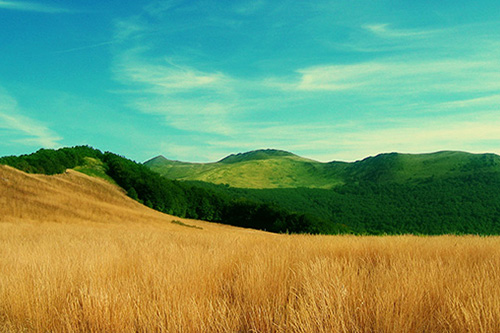 描述春天的优美语句90句