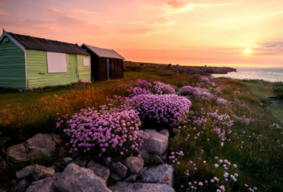 叫人一见就有好感的网名(精选2241个)