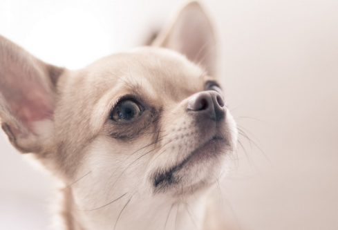 1691850052879999.png image.png