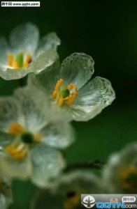 ​希望得到别人原谅的话 表达无法原谅的句子