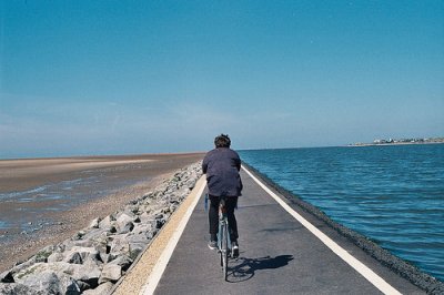 ​关于茶的经典名句83句