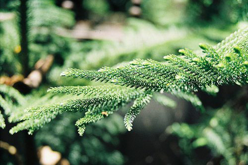 跨年暖心句子说说(98句)