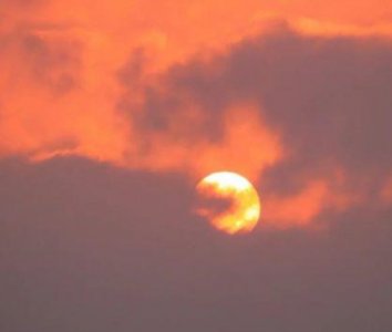 ​表白的经典句子参考