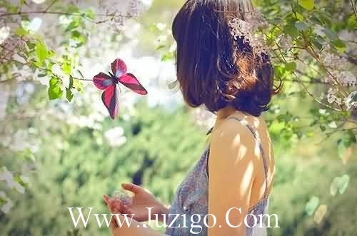 简短的英语经典谚语集锦